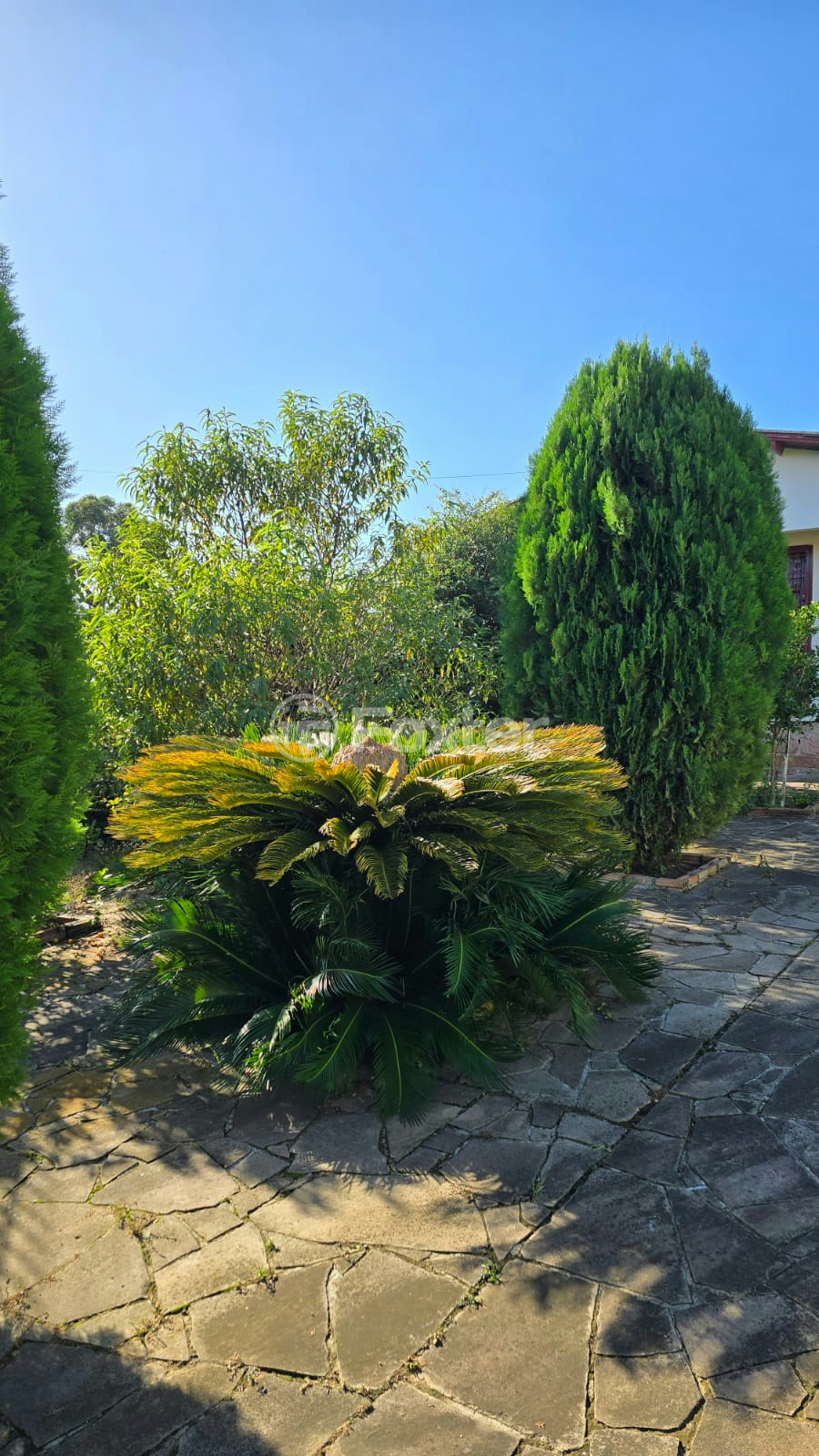 Casa à venda com 2 quartos, 201m² - Foto 5