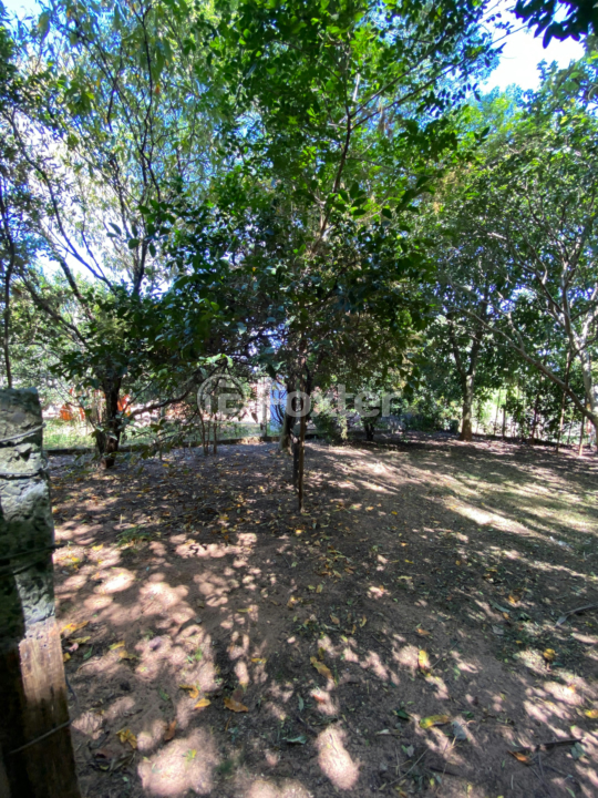 Sítio à venda com 3 quartos, 192m² - Foto 4