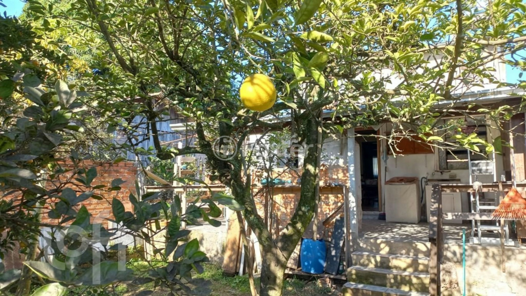 Casa à venda com 3 quartos, 112m² - Foto 11