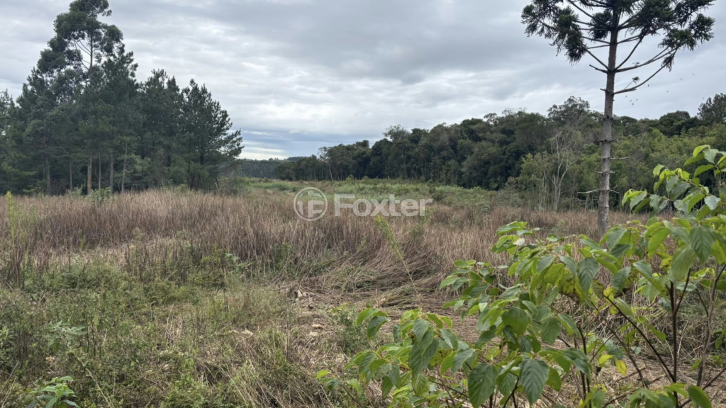Depósito-Galpão-Armazém à venda com 2 quartos, 1335m² - Foto 6