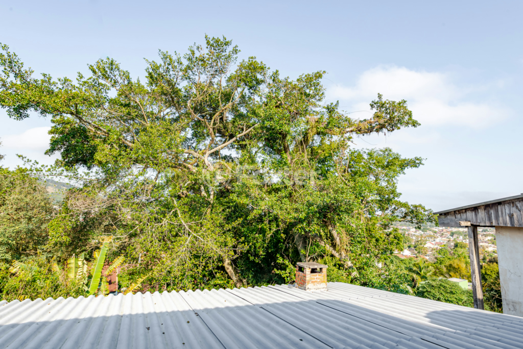 Casa à venda com 4 quartos, 250m² - Foto 35