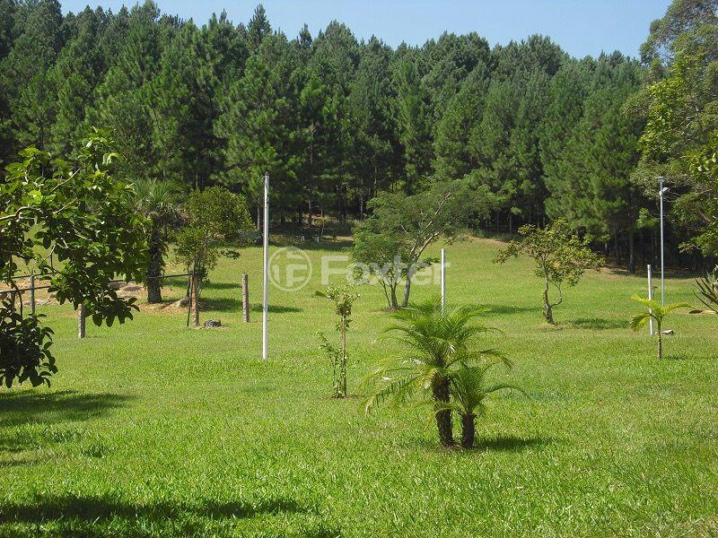 Sítio à venda com 5 quartos, 300m² - Foto 7