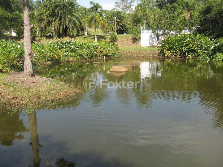 Sítio à venda com 5 quartos, 300m² - Foto 11