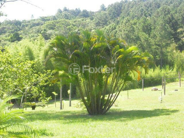 Sítio à venda com 5 quartos, 300m² - Foto 14