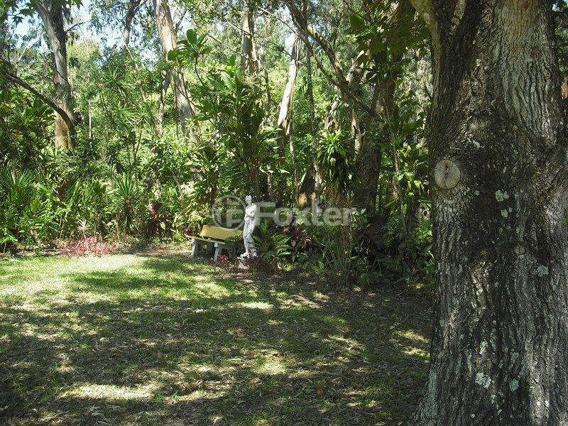 Sítio à venda com 5 quartos, 300m² - Foto 20