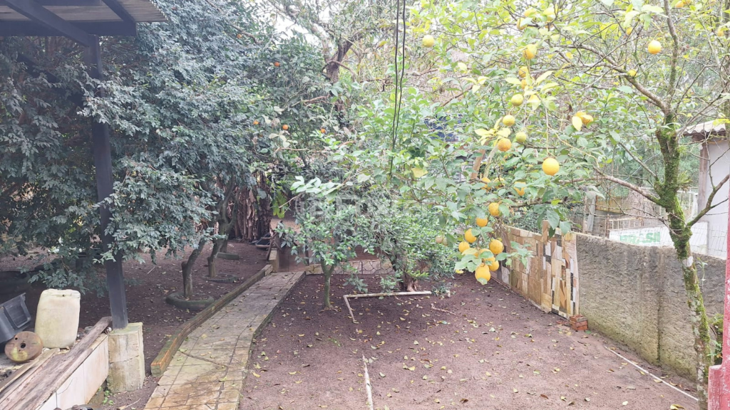 Fazenda à venda com 4 quartos, 220m² - Foto 48