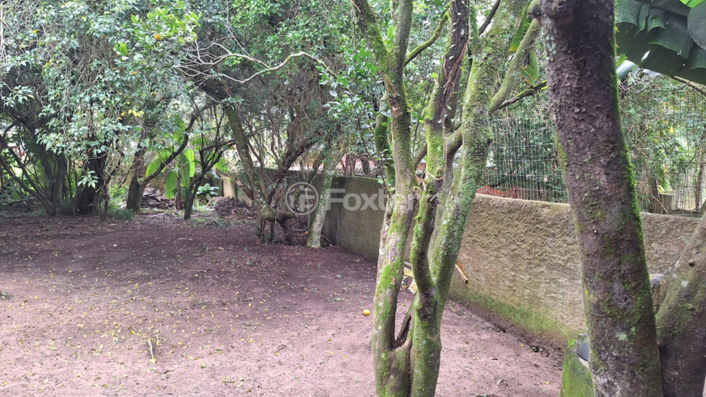 Fazenda à venda com 4 quartos, 220m² - Foto 50