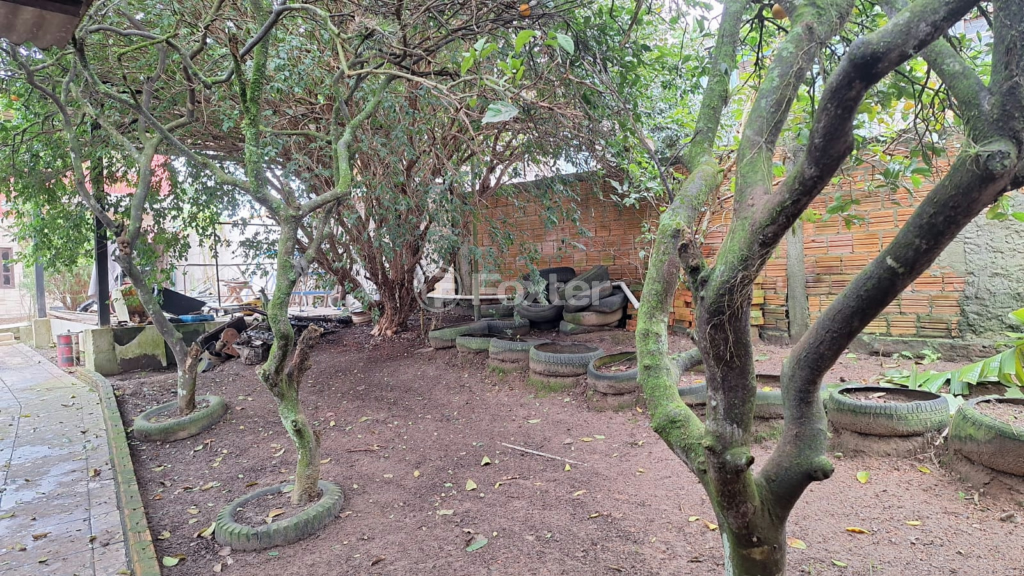 Fazenda à venda com 4 quartos, 220m² - Foto 47