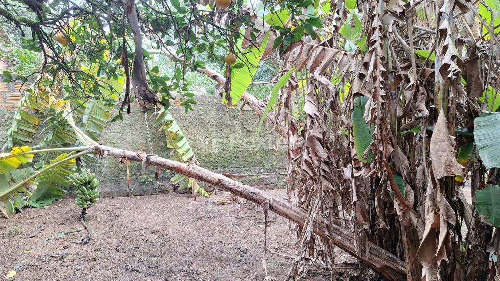 Fazenda à venda com 4 quartos, 220m² - Foto 46