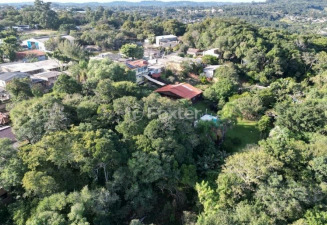 Sítio à venda com 3 quartos, 13045m² - Foto 5
