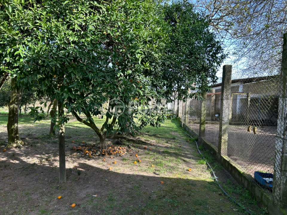 Sítio à venda com 7 quartos, 270m² - Foto 19