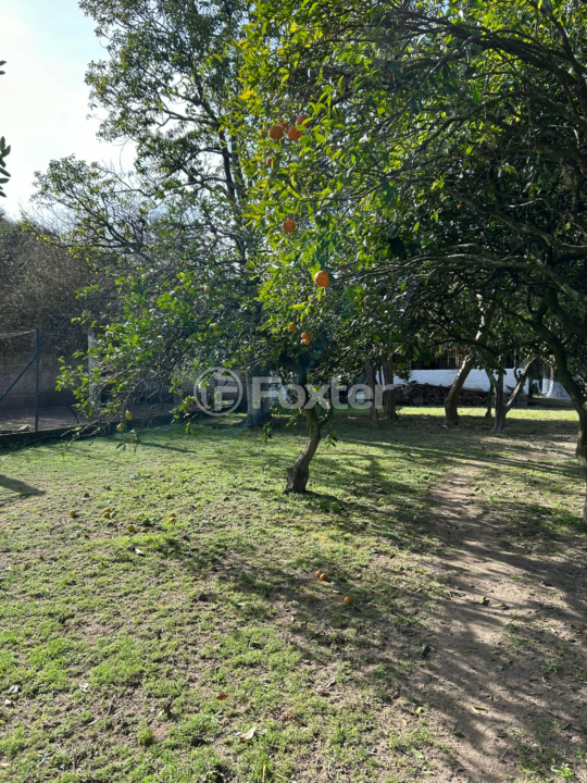 Sítio à venda com 7 quartos, 270m² - Foto 21