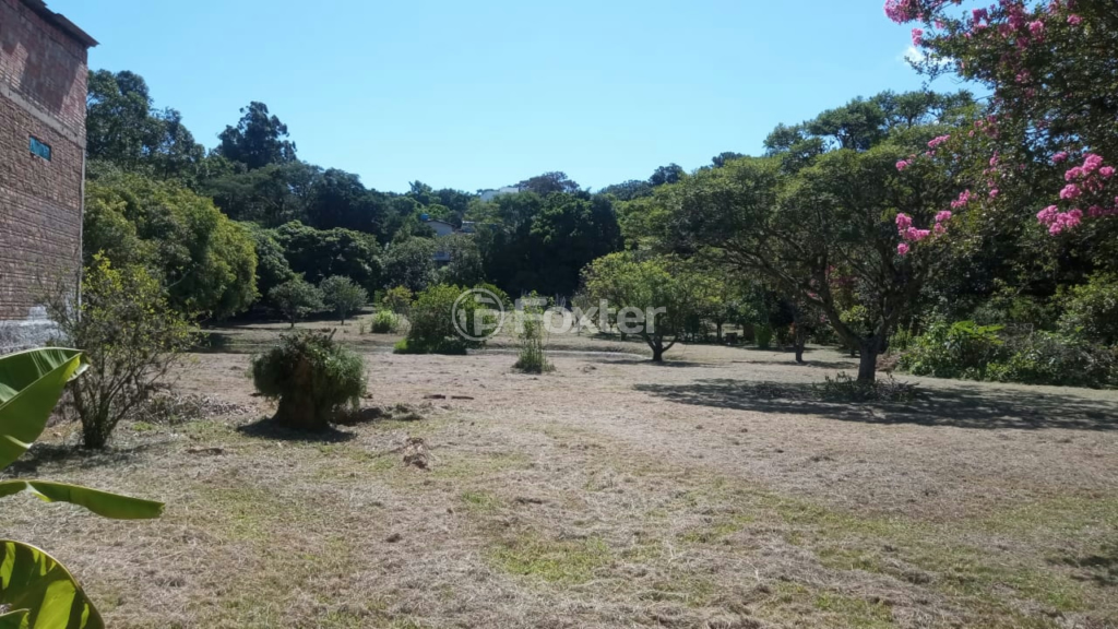 Chácara à venda, 100m² - Foto 4