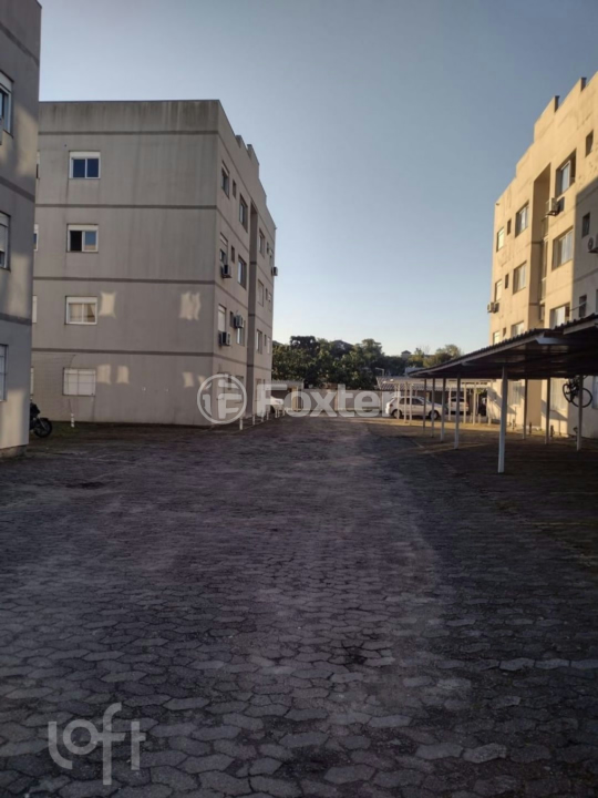 Apartamento à venda com 3 quartos, 67m² - Foto 19