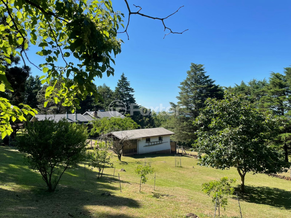 Sítio à venda com 3 quartos, 226m² - Foto 4