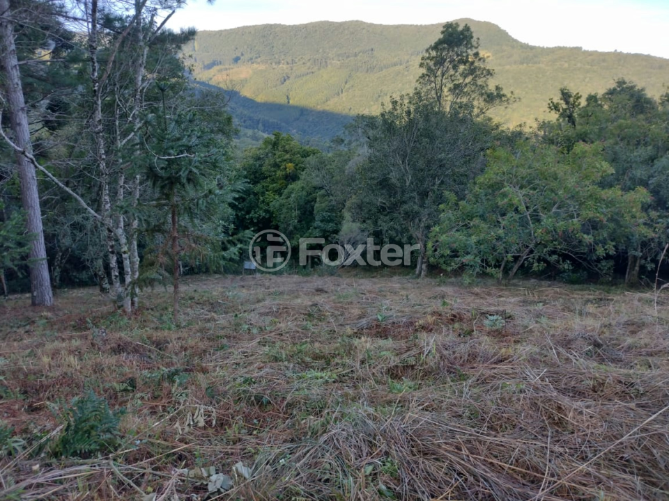 Sítio à venda com 3 quartos, 226m² - Foto 28