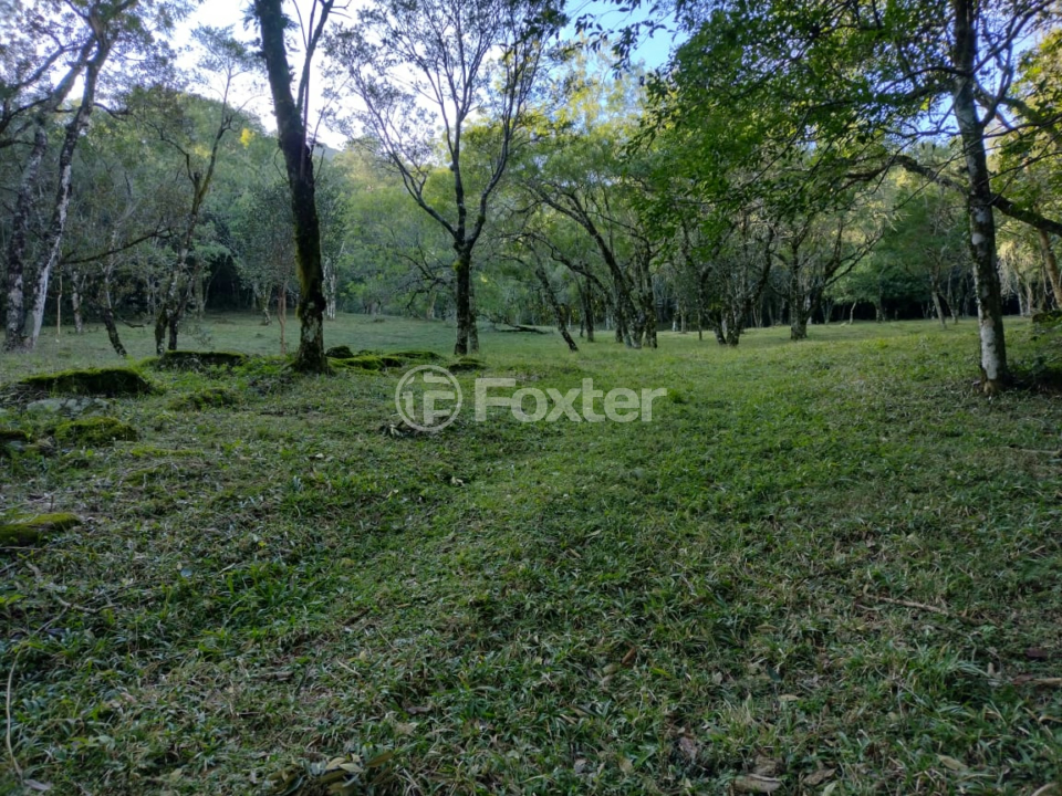Sítio à venda com 3 quartos, 226m² - Foto 20