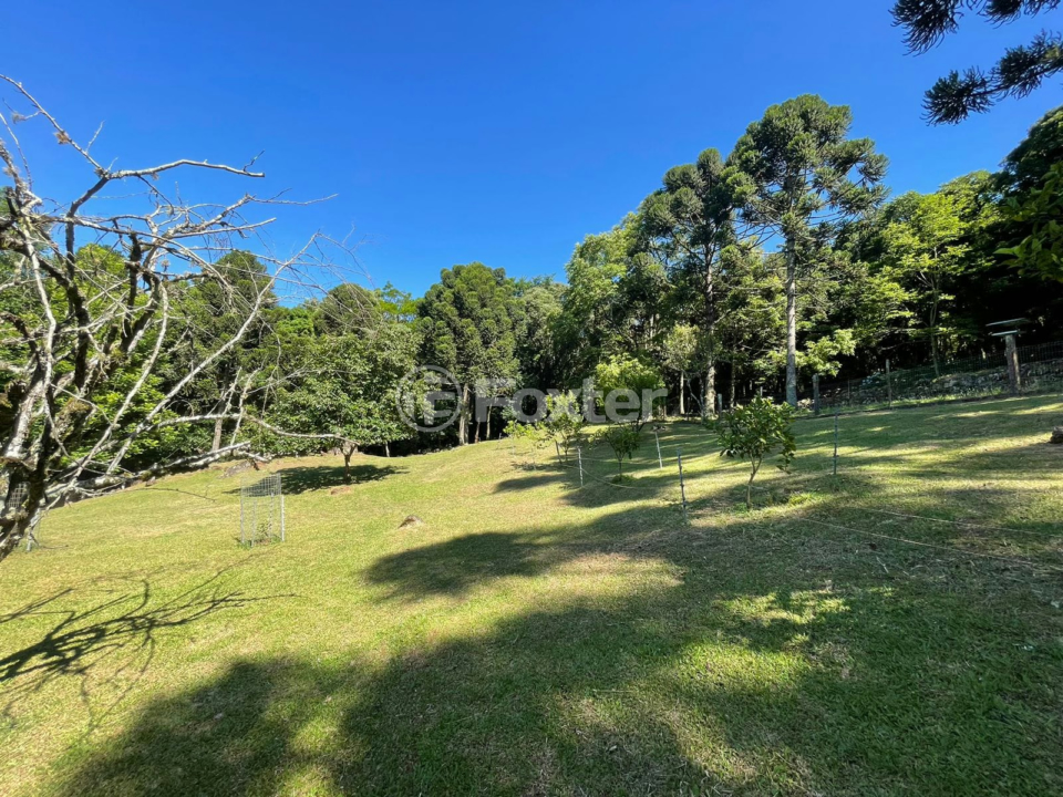 Sítio à venda com 3 quartos, 226m² - Foto 32
