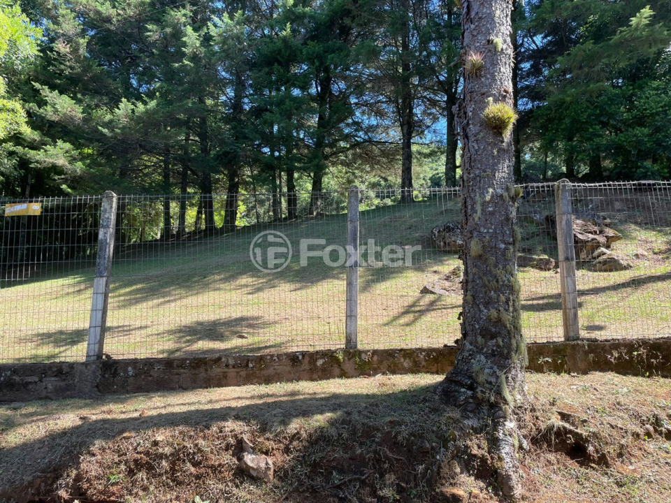Sítio à venda com 3 quartos, 226m² - Foto 35