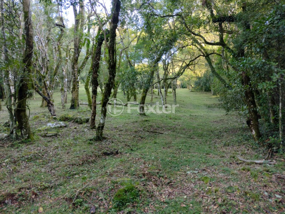 Sítio à venda com 3 quartos, 226m² - Foto 19