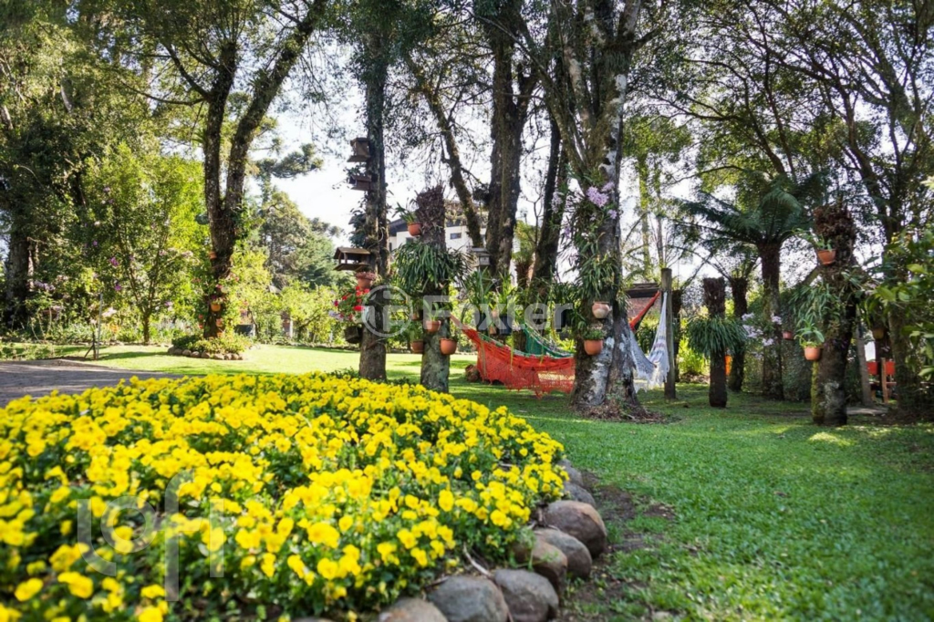 Casa à venda com 5 quartos, 321m² - Foto 6