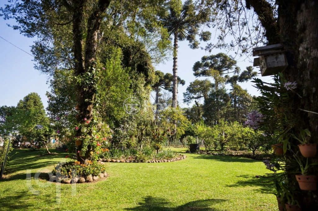 Casa à venda com 5 quartos, 321m² - Foto 4