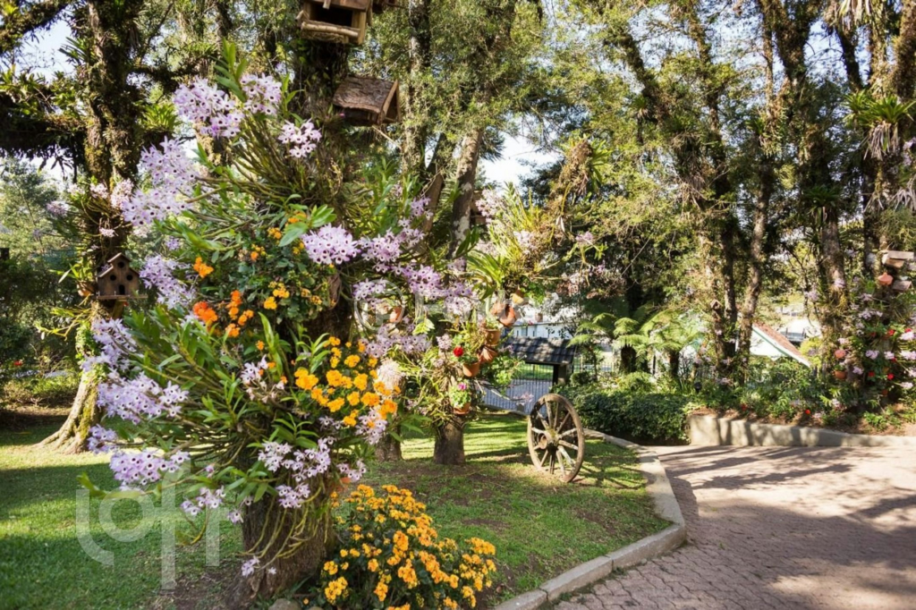 Casa à venda com 5 quartos, 321m² - Foto 5