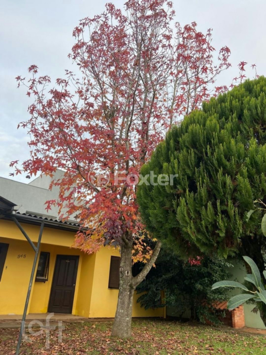 Casa à venda com 2 quartos, 120m² - Foto 6