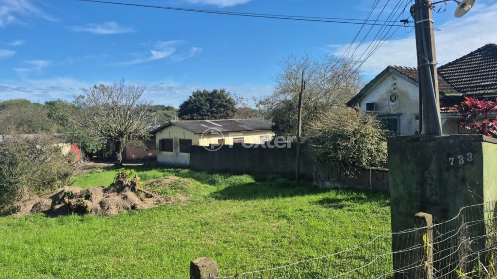 Terreno à venda com 3 quartos, 10000m² - Foto 5