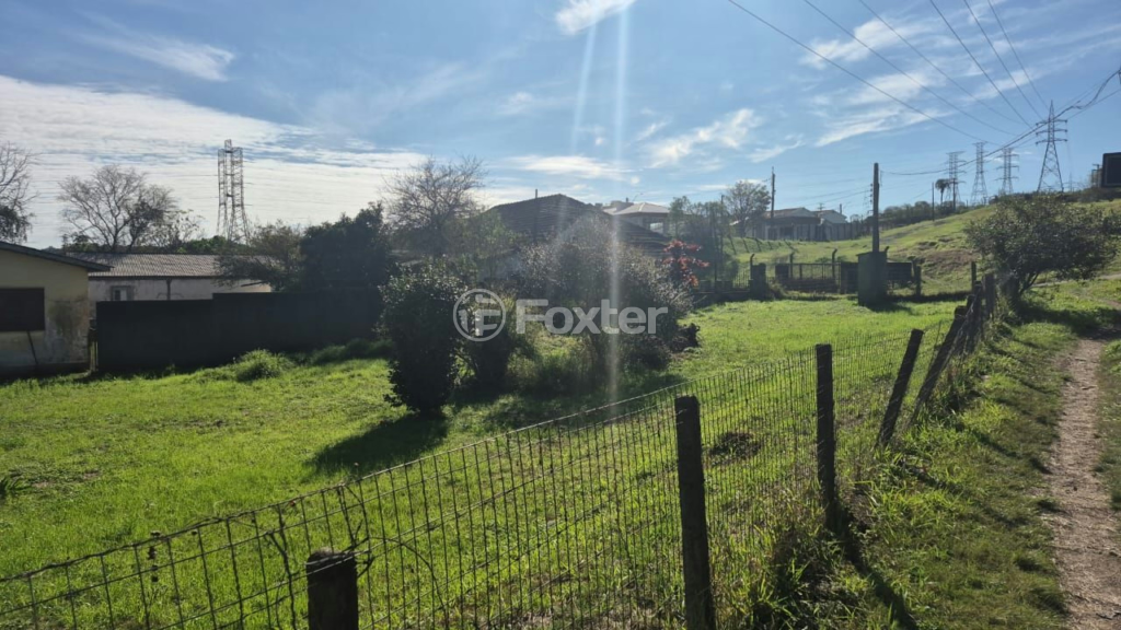 Terreno à venda com 3 quartos, 10000m² - Foto 2