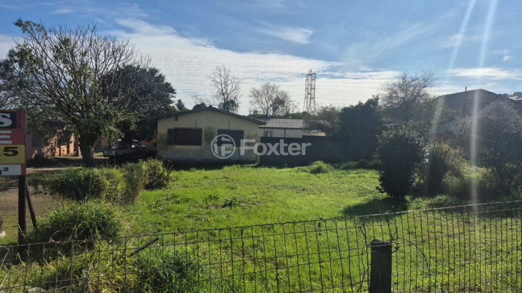 Terreno à venda com 3 quartos, 10000m² - Foto 1