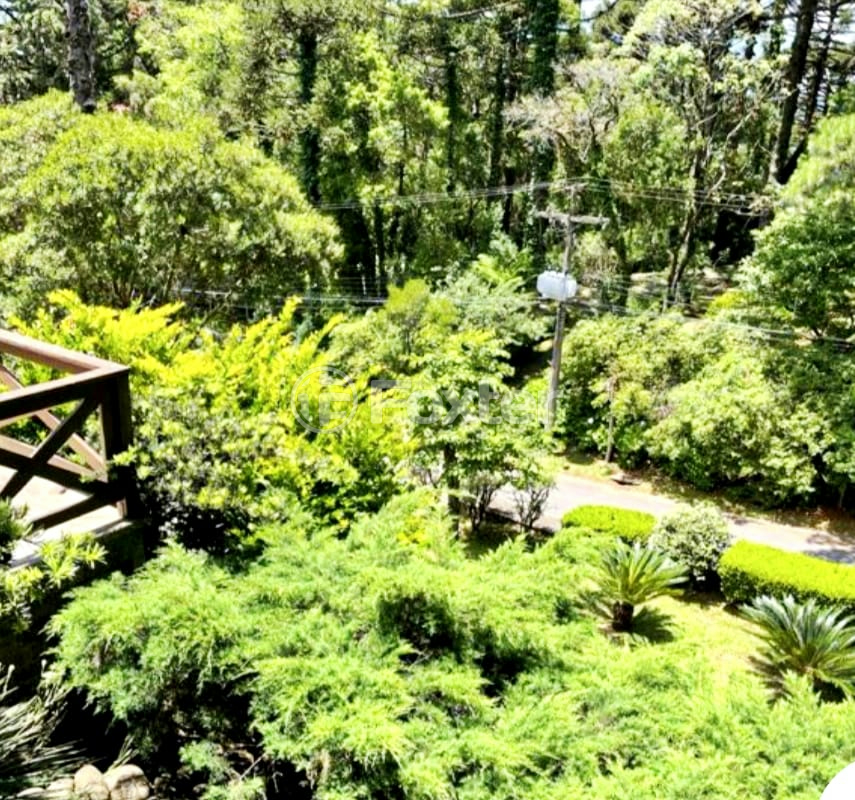 Casa à venda com 5 quartos, 700m² - Foto 5