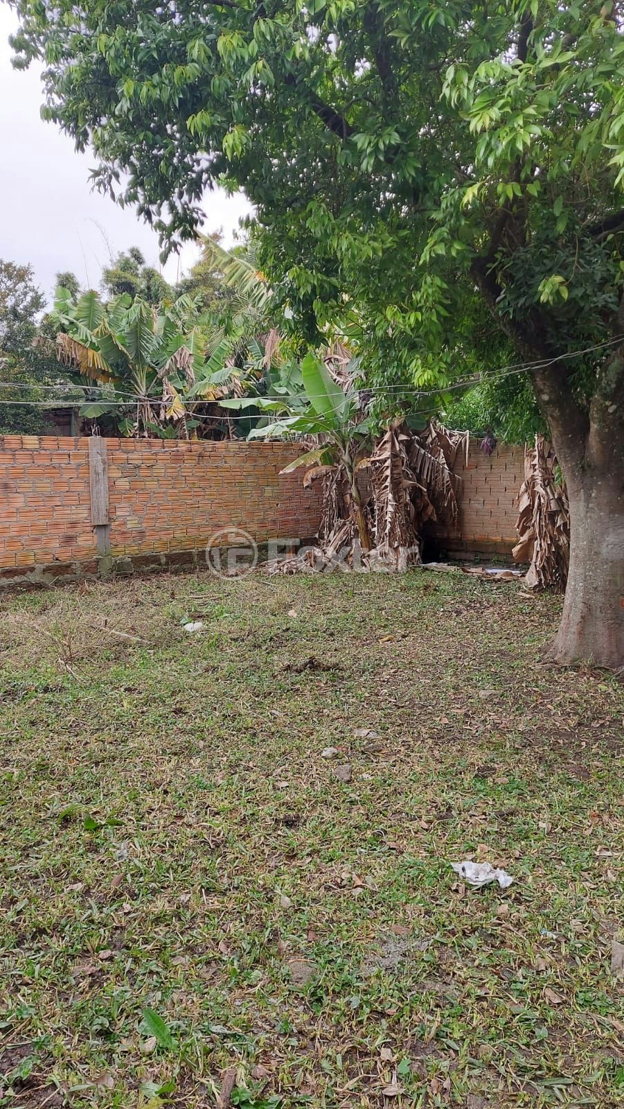 Casa à venda com 2 quartos, 70m² - Foto 6