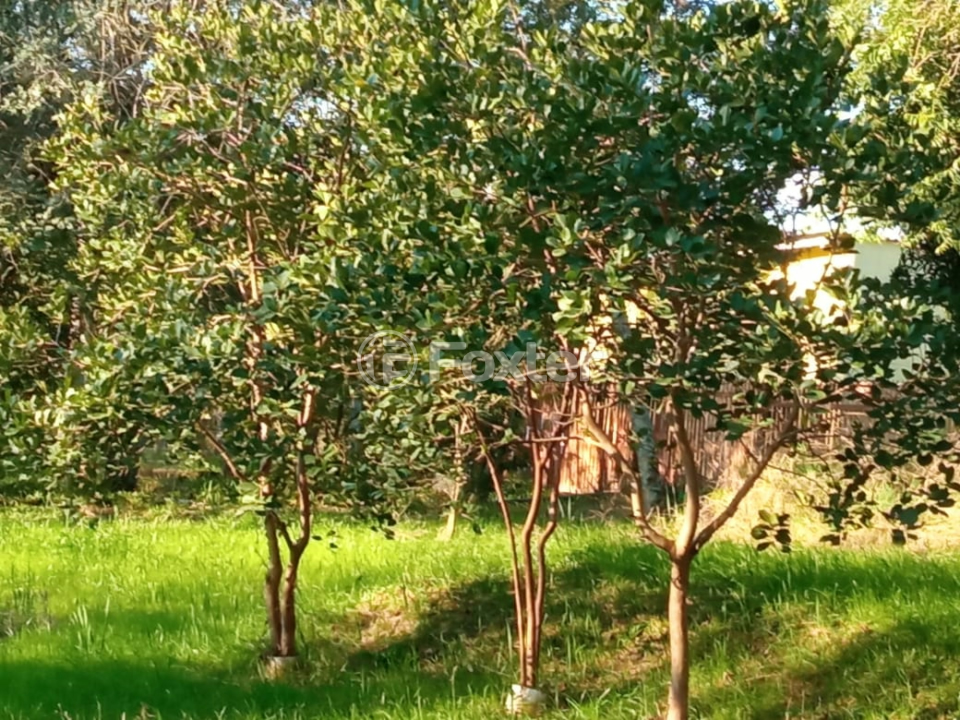 Chácara à venda, 3268m² - Foto 4