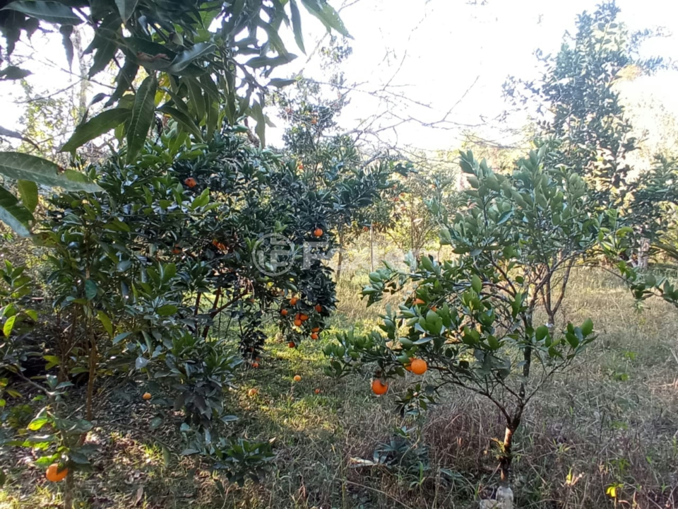 Chácara à venda, 3268m² - Foto 5