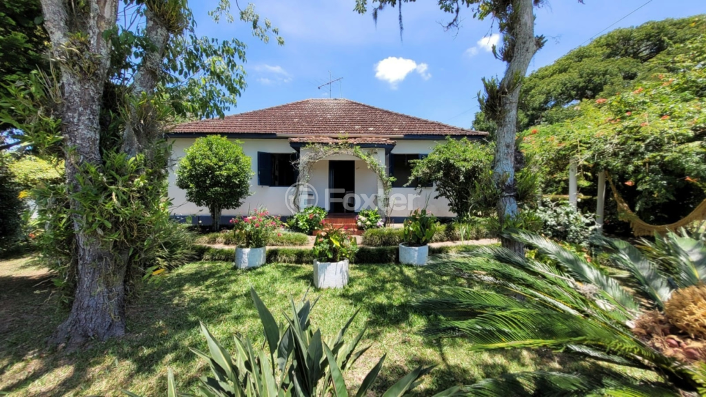 Sítio à venda com 2 quartos, 150m² - Foto 4