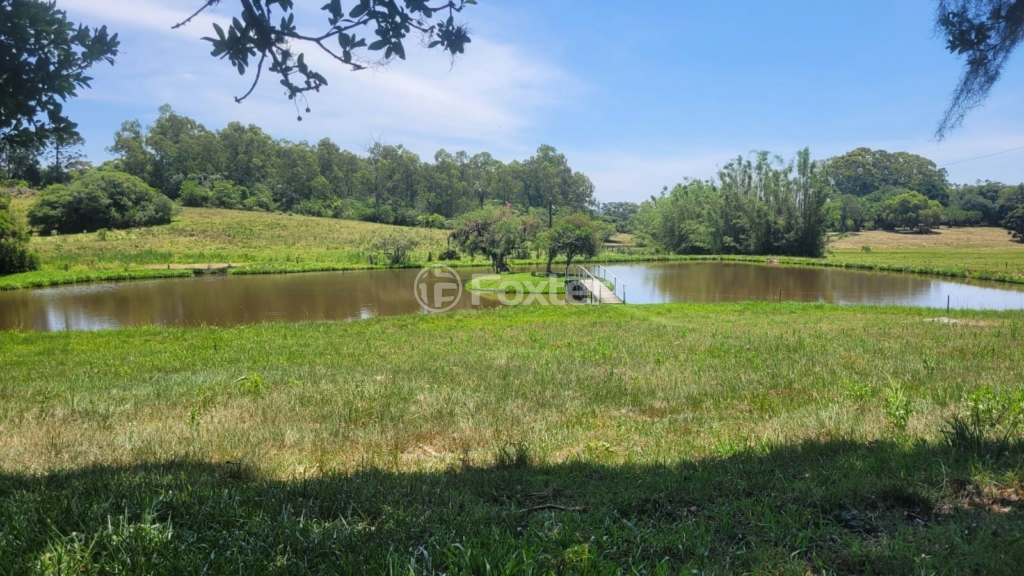 Sítio à venda com 2 quartos, 150m² - Foto 8